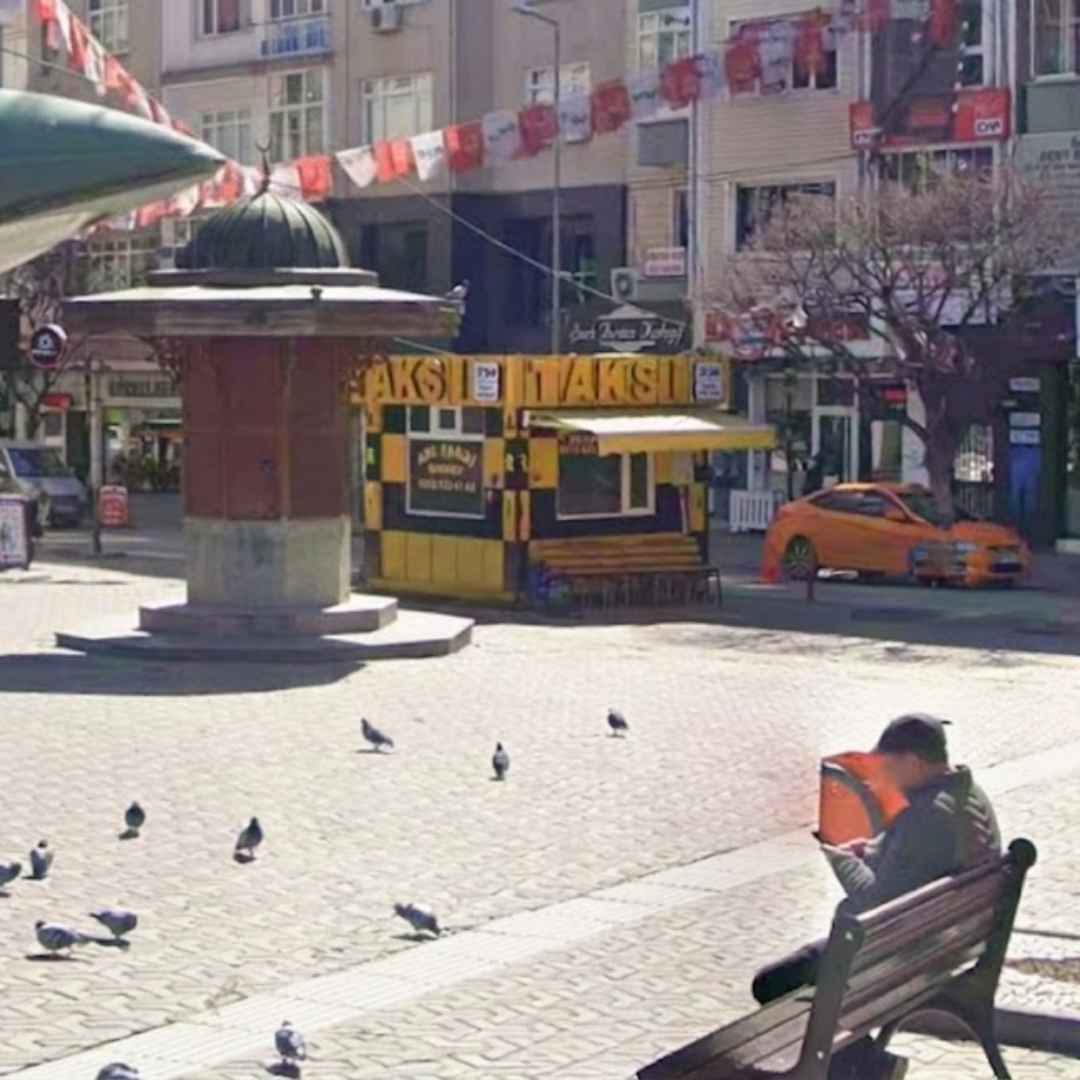 Arı Taksi